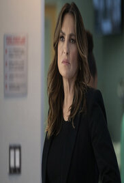 Law Order Organized Crime