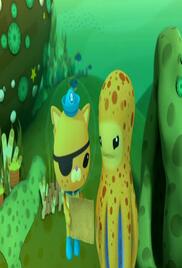 The Octonauts