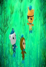 The Octonauts