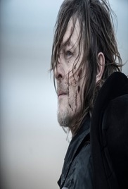 The Walking Dead Daryl Dixon