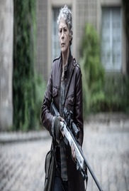 The Walking Dead Daryl Dixon