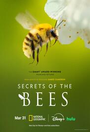 Secrets of the Bees